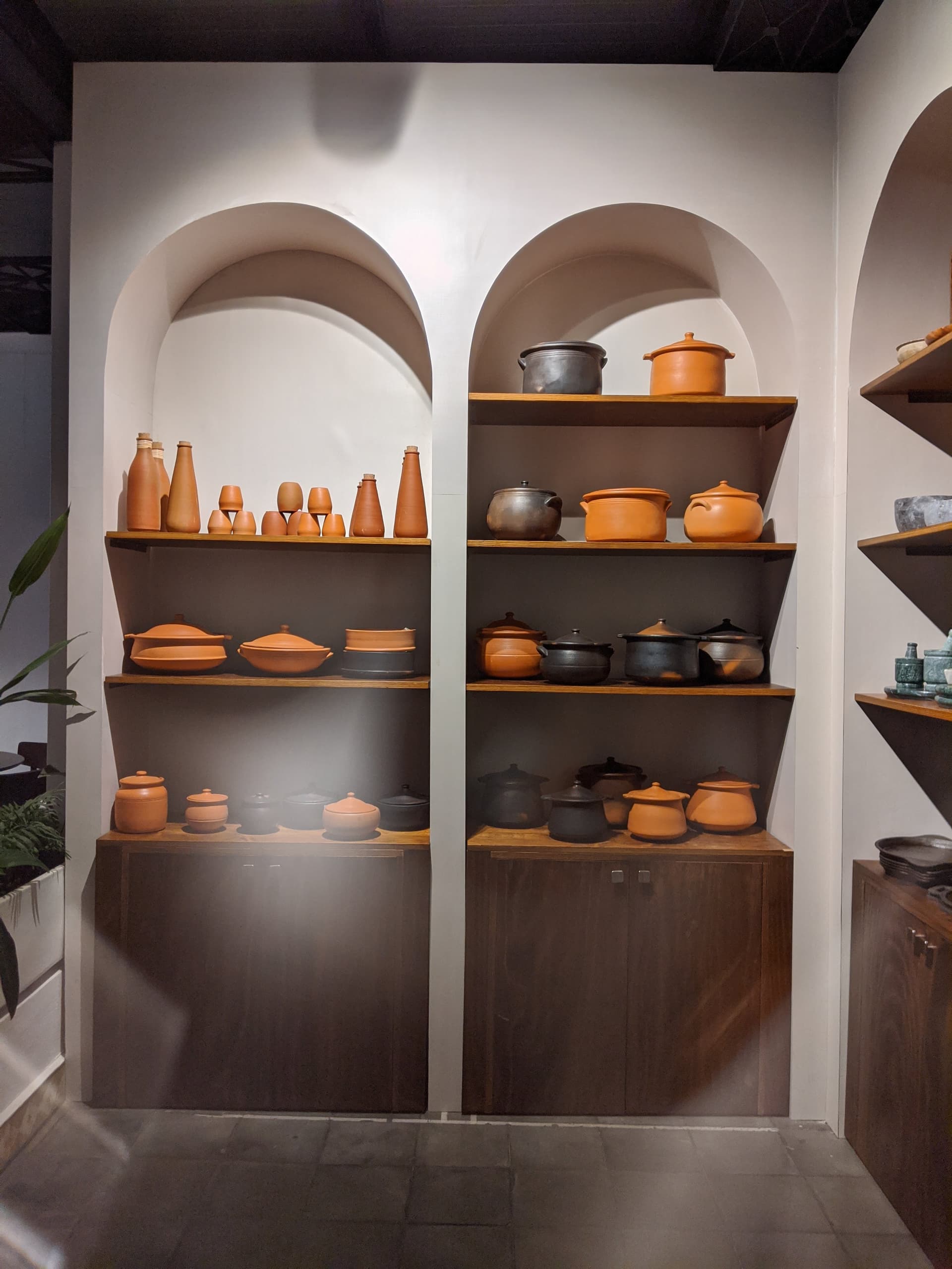 Go Native display 207