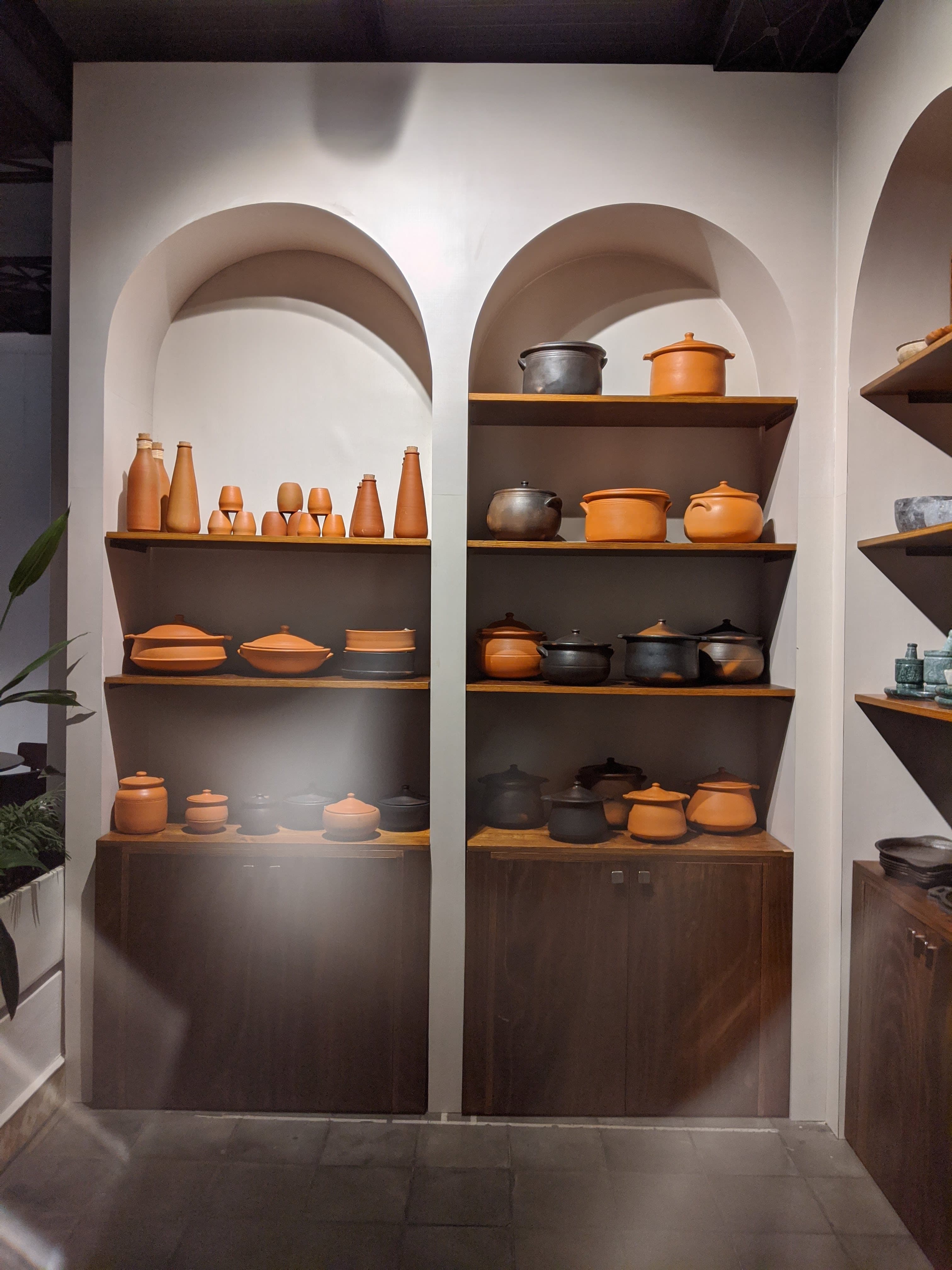 Go Native display 207