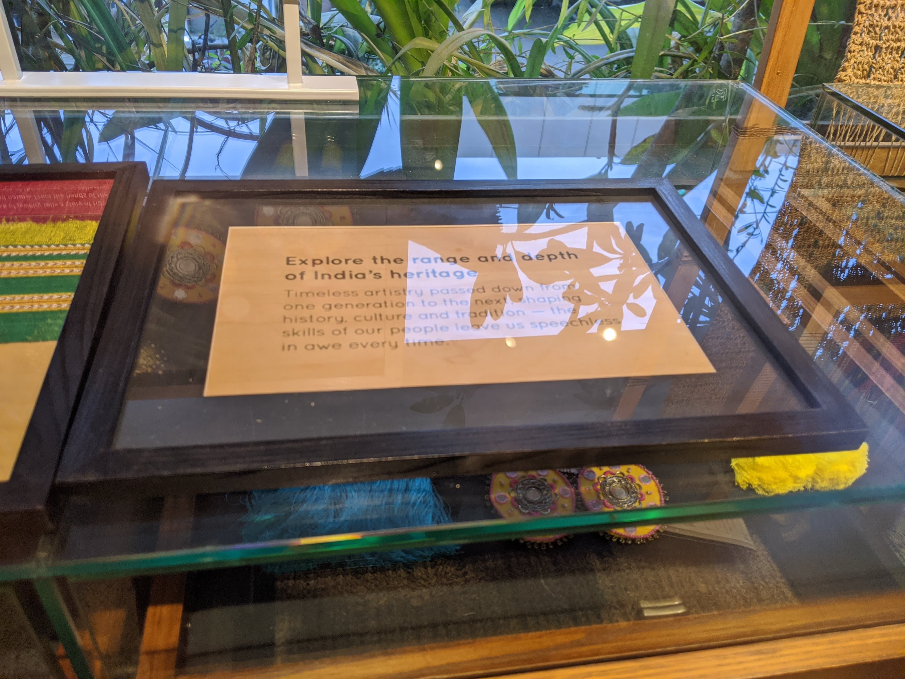 Go Native display 161