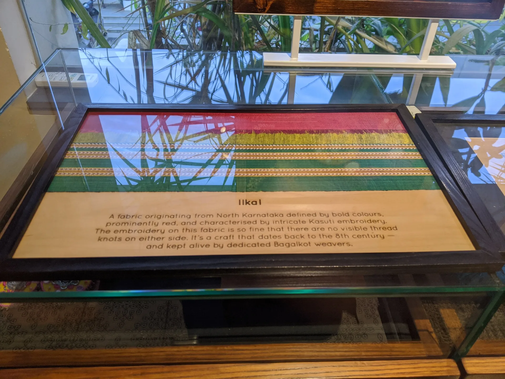 Go Native display 210