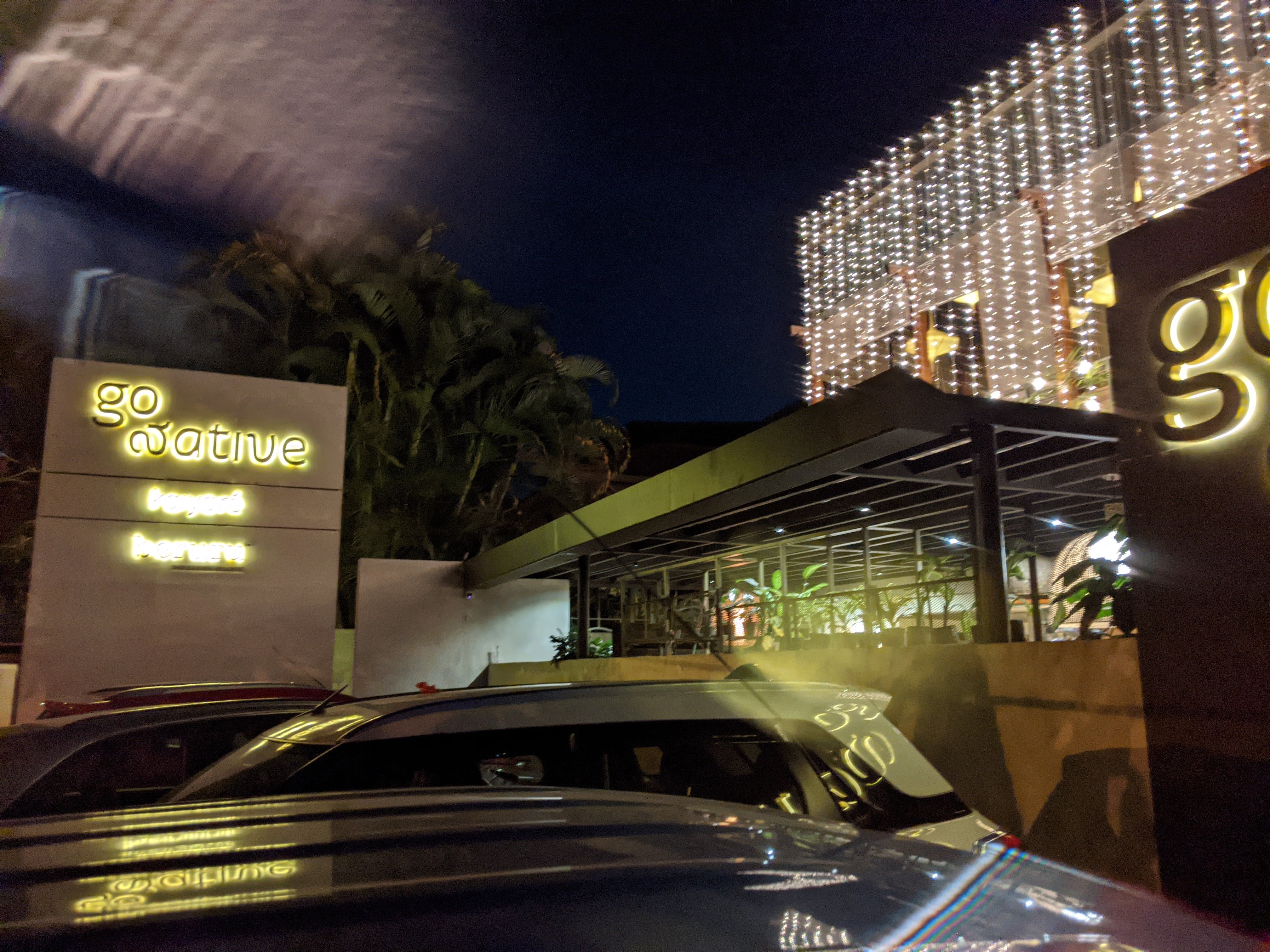 Go Native display 118